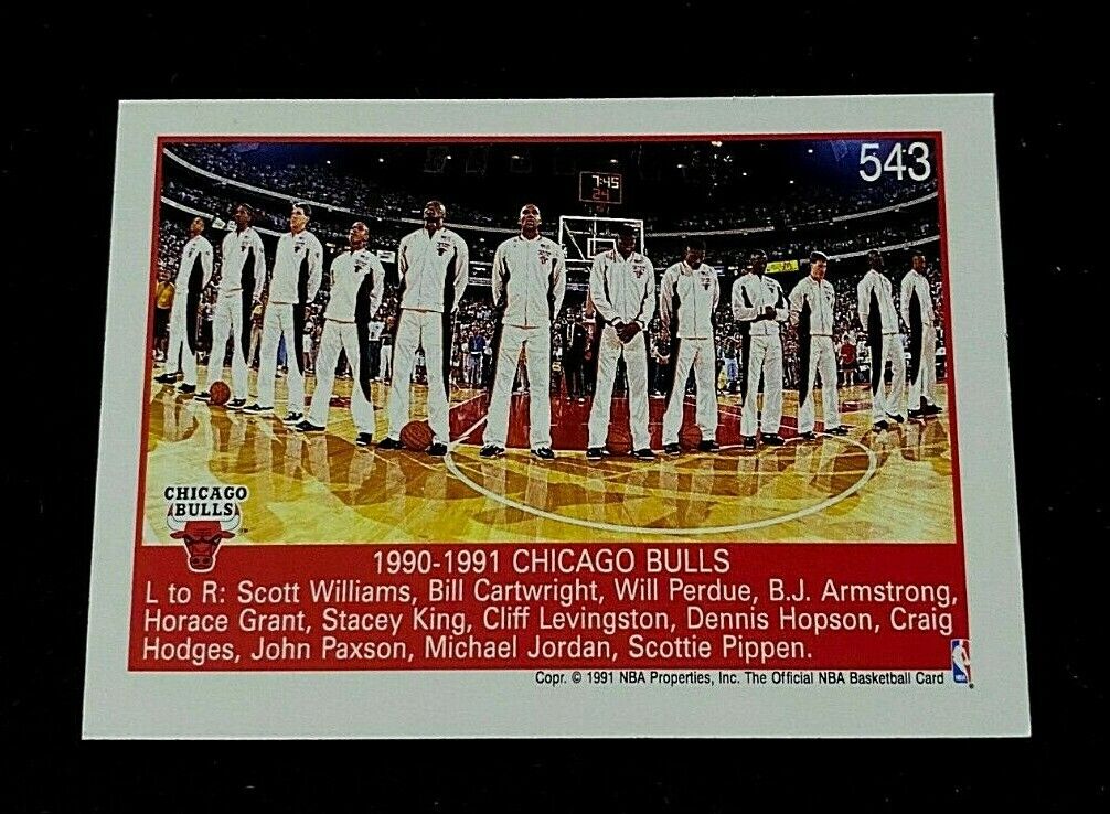 1991 NBA Hoops Michael Jordan NBA Champions Card (MINT CONDITION!)